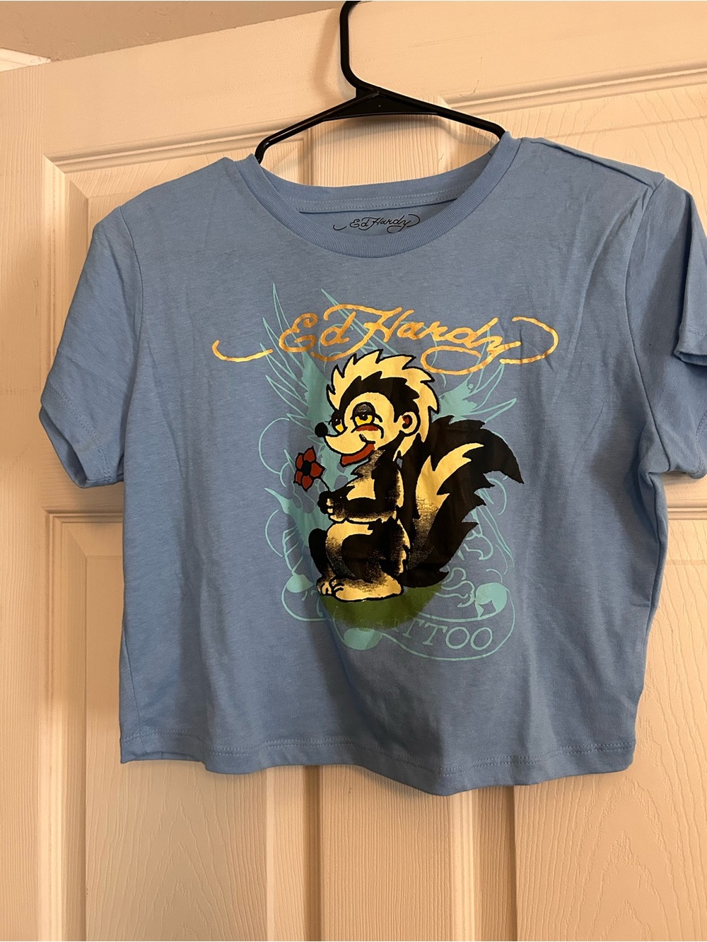 Ed Hardy Women’s Light Blue Graphic Crop Tee - Skunk Design